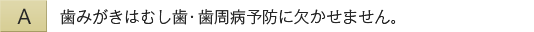 歯みがきはむし歯・歯周病予防に欠かせません。
