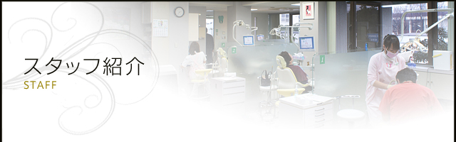 スタッフ紹介
